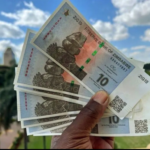 ZIMBABWE’S NEW CURRENCY ZIG IS CAUSING MORE TROUBLE THAN GOOD